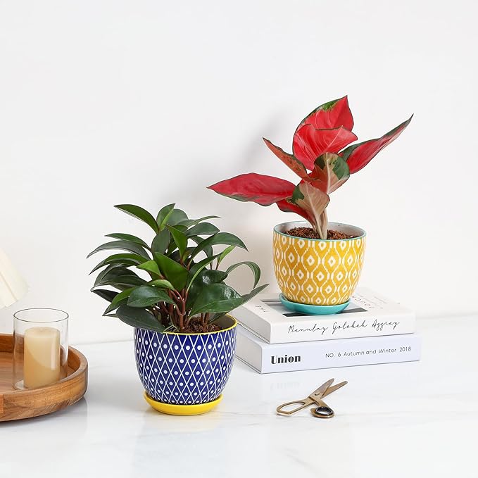 Selamica Ceramic Plant Pots, 5.6 Inch Flower Pots for Indoor Plants, Planters with Drainage Hole and Saucer, Garden Pots for Succulent, Orchid, Home Decor, Set of 4, Assorted Colors