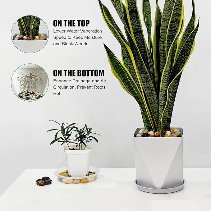 Rocks for Plants 5 Lbs, 0.8-1.5 Inch High Polished Pebbels, Decorative Stones for Garden Landscaping, Smooth Gravel Filler for Outdoor Plants, Succulents, Fish Tank and Vases