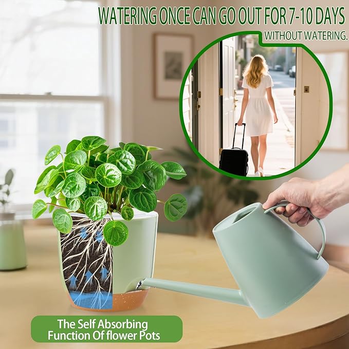 Self Watering Orchid Pots for Indoor Plants,5.8 Inch Macetas para Orqudeas,Flower Pots for Indoor Plants with Holes(Green)