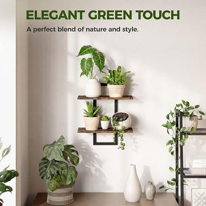 Bamworld Wall Planters for Indoor Plants Window Plant Shelves Vertical Plant - Image 6