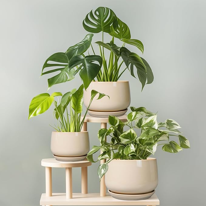 G EPGardening Ceramic Plant Pots - 9 Inch Round Planter, Ceramic Flower Pots with Drainage and Saucer, Modern Indoor Outdoor Planter, Room Decor, Home Gifts, Beige