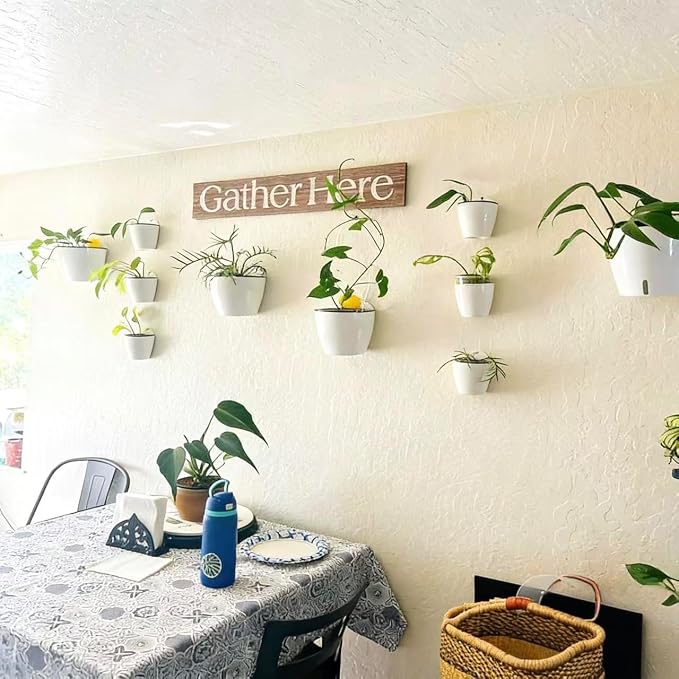 3 Pack Self Watering Wall Hanging Planter Pots Vertical Garden Window Hang - Image 5