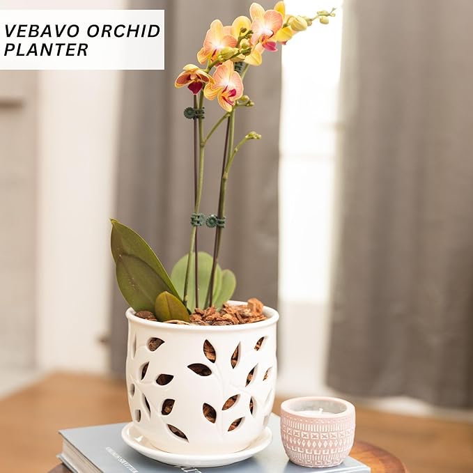 Orchid Pot with Holes & Saucer Ceramic 6.5 in. Indoor or Outdoor Large Pot for Orchid Care & Root Health with Precise Aeration & Drainage – Durable for Repotting or New Plants
