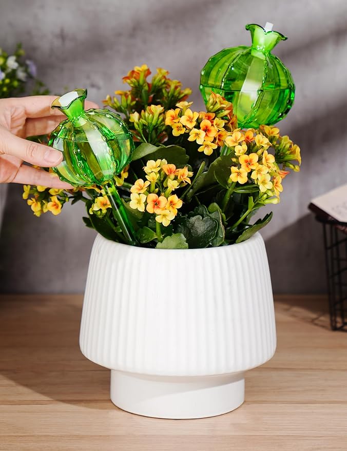 NiHome Cactus-Shaped Glass Plant Self-Watering Globes 6-Pack, Glass Waterer Stakes for Potted Plants, Automatic Mini Irrigation System, Adorable Gardening Tool (Green, 3 Large + 3 Medium)