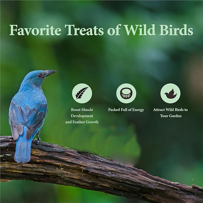 11 LBS Dried Mealworms, Non GMO, High Protein Treat for Chicken, Duck, Birds, Reptile, Hamster,Hedgehog