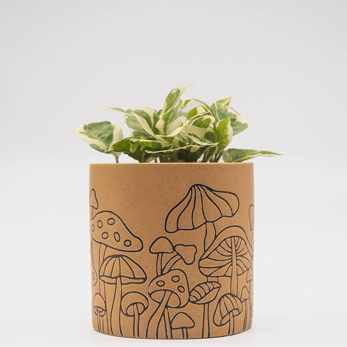 BASE ROOTS Mushroom Planter, Speckled Terracotta, Indoor/Outdoor, Holds Small Plants