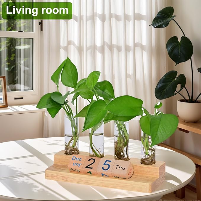 Propagation Vases for Plants, with Block Calendar for Desk, for Home and Desk Decor, Perfect Gardening Gifts for Women, Mom, Teacher, Horticulturist(Light Wood Color)