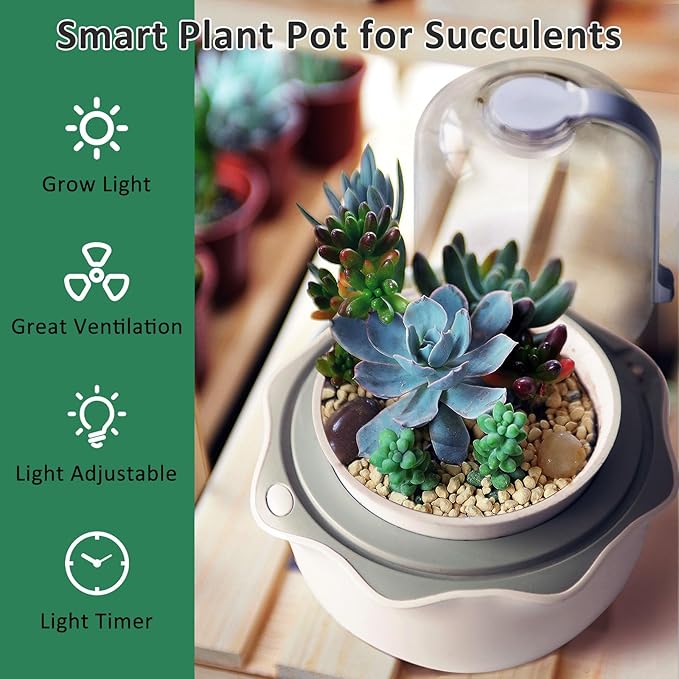 Smart Venus Fly Trap Terrarium Pot with Timer&Fan,Succulent Planter with Grow Light,Indoor Plant Pots Terrarium with Drainage Hole for Carnivorous Plants,Sundew Moss,Cactus(No Plant)