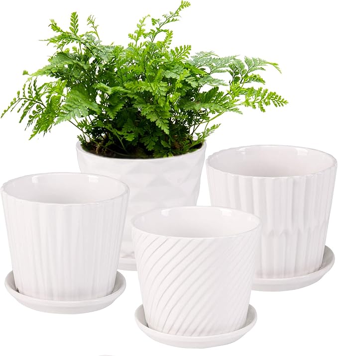 Plant Pots - 5.5 Inch Cylinder Ceramic Planters with Connected Saucer, Pots for Succuelnt and Little Snake Plants, Set of 4, White