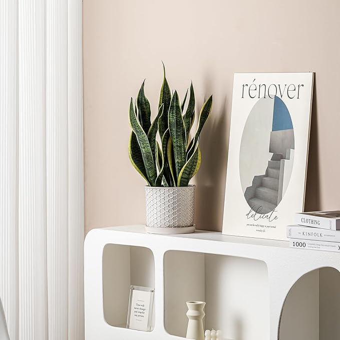 8 Inch Plant Pot: Ceramic Planter with Drainage Hole & Saucer - Flowerpot for Indoor & Outdoor Plants with Separate Tray for Home & Office - Honeycomb Design, Cream White