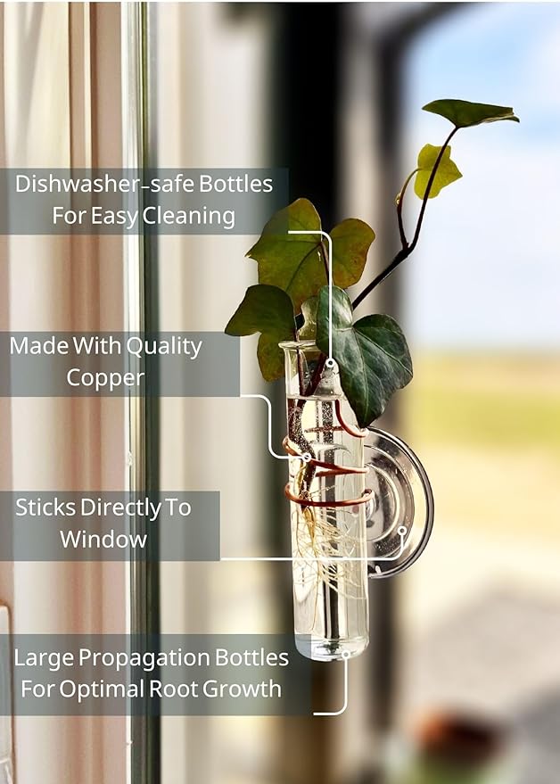 The Little Window Propagator- Window Plant Propagation Station with Removable Glass Test Tubes, Indoor Clippings, Cut Flowers, Herbs, Succulents | Home Decor | Plant Lover Gift