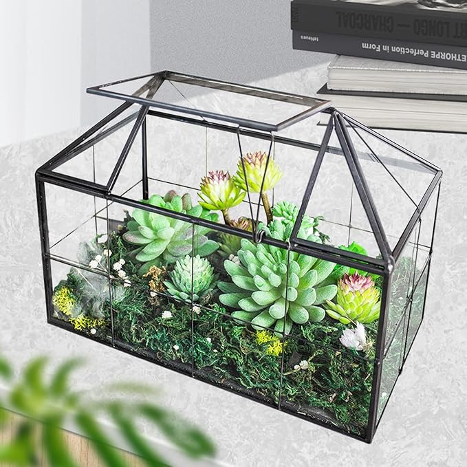 Ferrisland Glass Terrarium Greenhouse House Shape Display Box Planter for Succulents Plant Terrarium Container Mordern Tabletop Decor Gardern DIY Kit