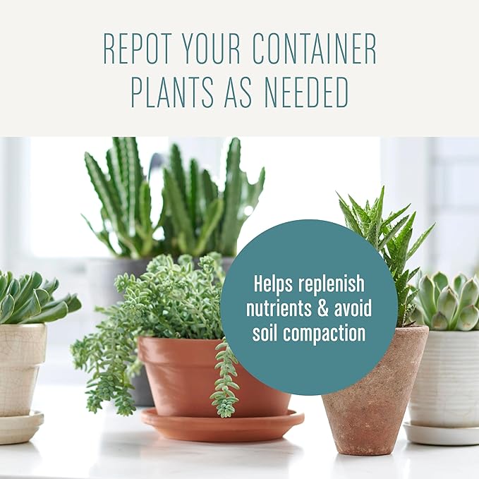 Miracle-Gro Succulent Potting Mix, For Indoor Succulents, Aloe Vera and More, Made with Miracle-Gro Plant Food, 4 qt