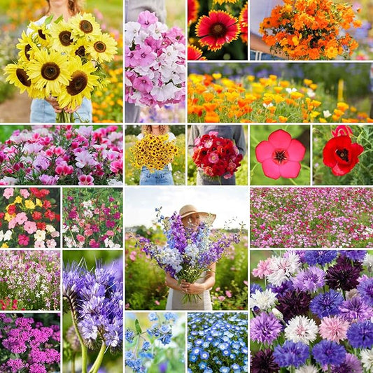 Eden Brothers All Annual Wildflower Mixed Seeds for Planting, 1 lb, 480,000+ Seeds with Sunflower, Indian Blanket, Scarlet Flax | Attracts Pollinators, Plant in Spring, Zones 3, 4, 5, 6, 7, 8, 9, 10