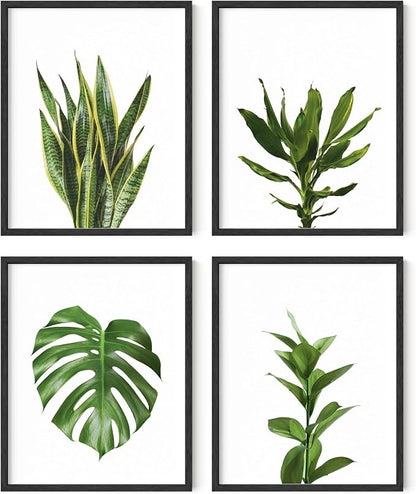 HAUS AND HUES Plant Wall Art by HausandHuesArtPrints