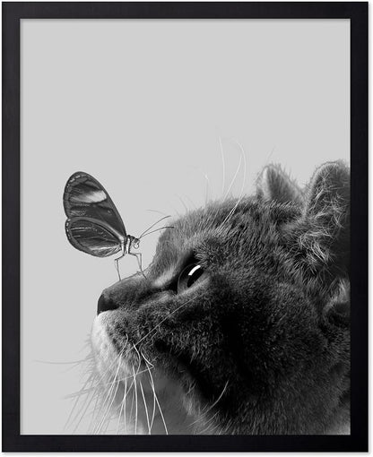 Poster Master Butterfly on Cat Print by PosterMaster