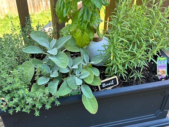 Plant Self Watering Globes - Terracotta Watering Spikes - Slow Release Olla Pots - Holds 16 oz - Drip Irrigiation Olla System