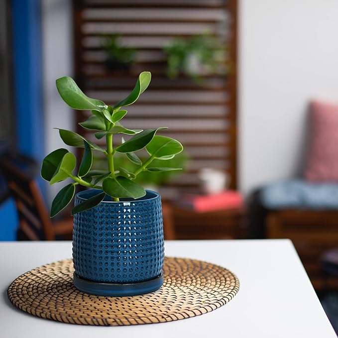 D'vine Dev 4 Inch Ceramic Beaded Stoneware Planter Pot - Flower Pot with Drainage Holes and Saucers for Indoor Succulent Plants or Flowers, Midnight Blue, 27-C-Z-3