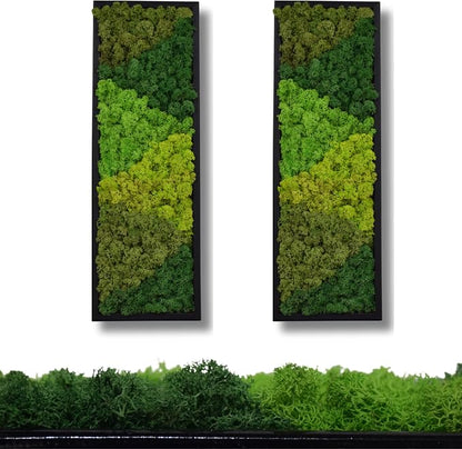 yersiz Large Moss Pattern Wall Art, Real Moss Wall Art - Image 5