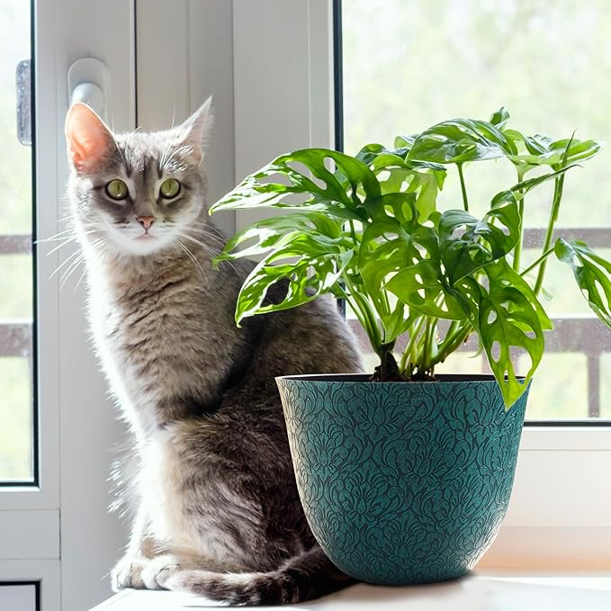 Worth Garden Plastic Round 8" Plant Pots for Indoor Plants - Set of 6 Multicolor Small Flower Pots W/Drainage Hole and Rubber Plug - Home Christmas Decorative planters Retro Floral Pattern