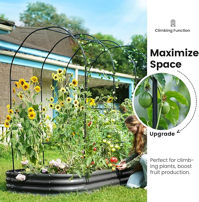 KING BIRD Raised Garden Bed with Arched Trellis Galvanized Planter Garden Box Outdoor for Gardening, Climbing Vegetables, Flowers 7.87x3.94x0.98 Ft, Dark Grey