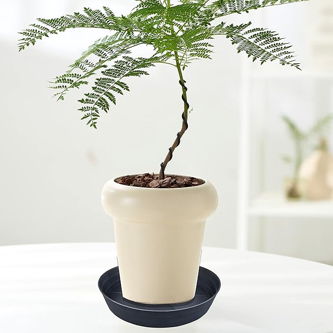 Plant Saucer 14 Inch, 4 Pack Extra Large Planter Saucer, Plastic Plant Saucers for Indoors and Outdoors, Deep Plant Pot Saucers, Drainage Tray for 9 10 12 in Planters