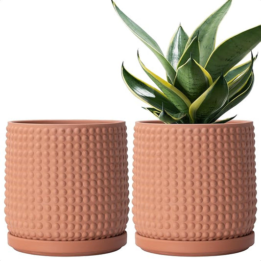 D'vine Dev Set of 2 Ceramic Plants Pots, 6 Inch Beaded Stoneware Flower Pot for Plants with Drainage Hole and Saucer, Terracotta, 27-E-X-7