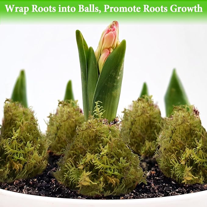 Halatool 4.4LB Green Forest Moss Natural Sphagnum Moss for Plants Fluffy Orchid Moss for Orchids Repotting Dried Plant Moss for Potted Plants Indoor & Outdoor