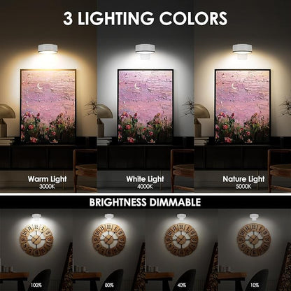 Arixinks 3Pcs Battery Picture Lights, Remote Painting Light - Image 3