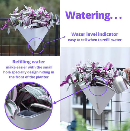 LaLaGreen Wall Planters for Indoor Plants - Image 5