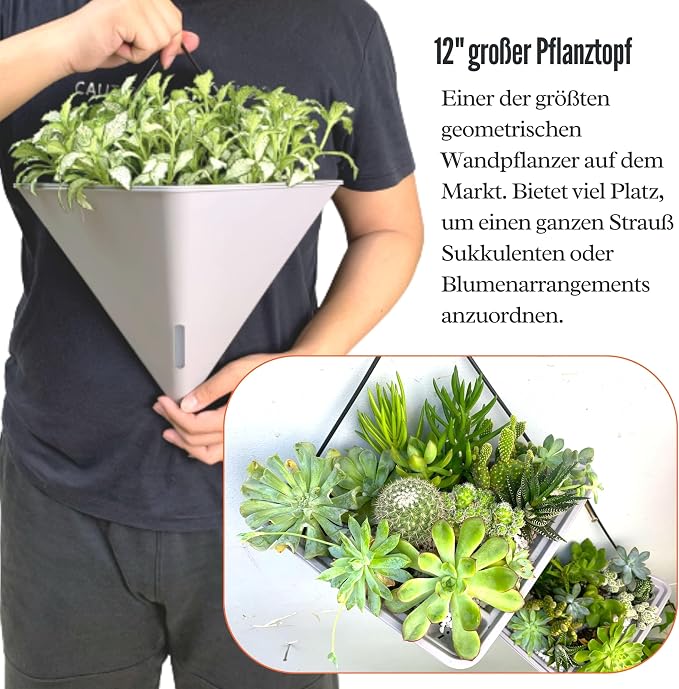 LaLaGreen Wall Planters for Indoor Plants - Image 4