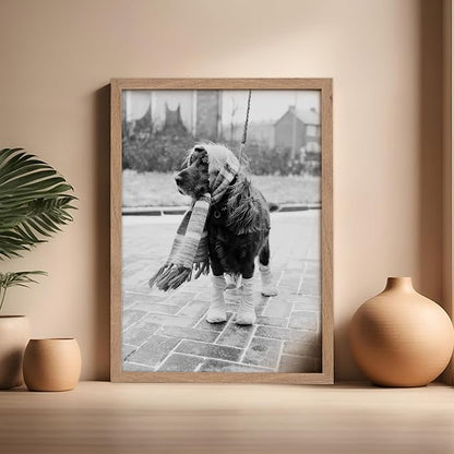 Poster Master Vintage Dog Dressed - Image 5