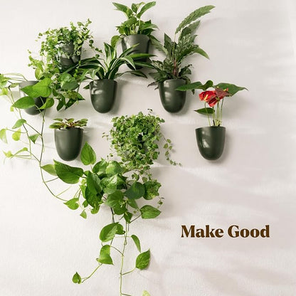 Make Good PlantPod Luxe Self-Watering Wall Planters - Image 6