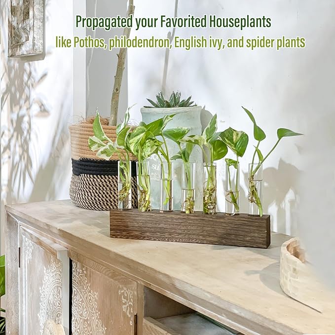 KAXYEW Desktop Glass Plant Propagation Station Test Tube Plant Terrarium in Wooden Stand for Hydroponic Plants Cutting Office Home Decoration