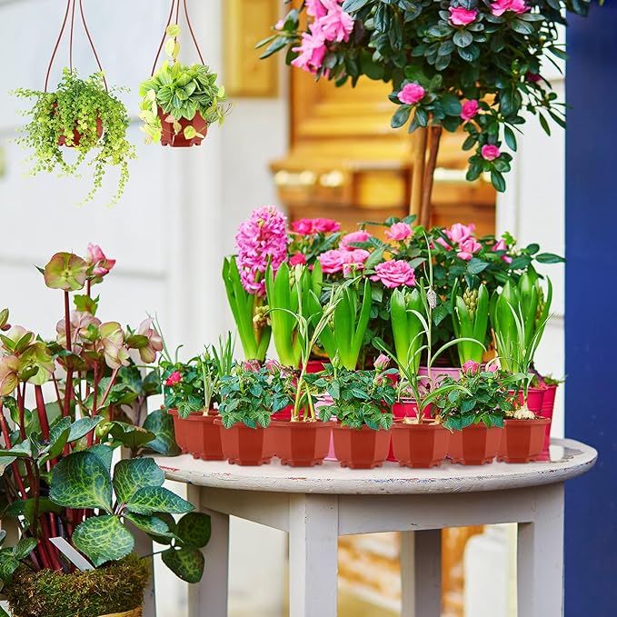 Roshtia 24 Pcs Hanging Plastic Planter Pot with Hook Flower Pots Baskets Hanging Nursery Planter Holder for Outdoor Indoor Plant Garden(Brown,3.7 Inch)