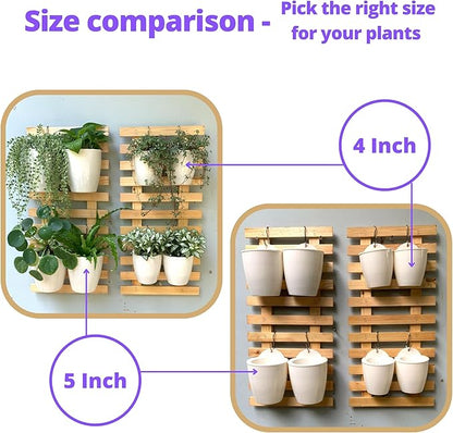 LáLáGreen Wall Planters for Indoor Plants - Image 3
