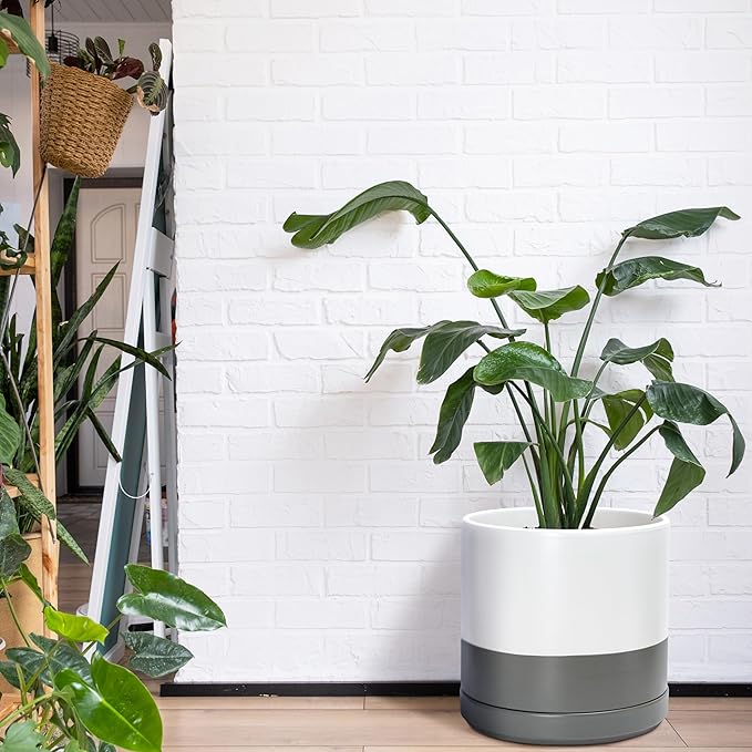 D'vine Dev 14 Inch Ceramic Planter Pot with Drainage Hole and Saucer, Indoor Cylinder Round Planter Pot, White/Speckled Grey, 94-O-G-6