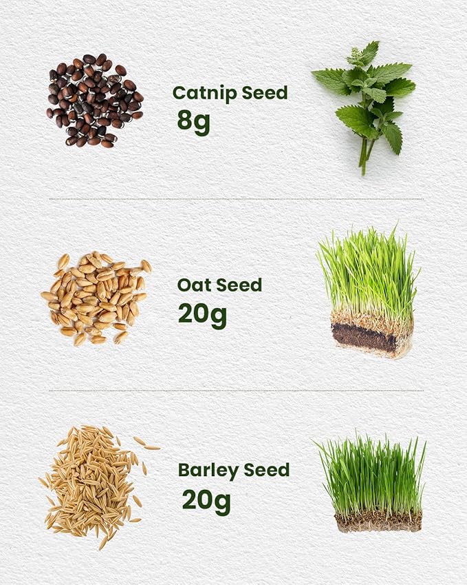 Organic Cat Grass & Catnip Seeds Kit – 3 Pack Oat & Barley Grass for Indoor Cats – Fast 7-Day Growth, High Germination, Hairball Control & Play – Pet-Safe Planting Set