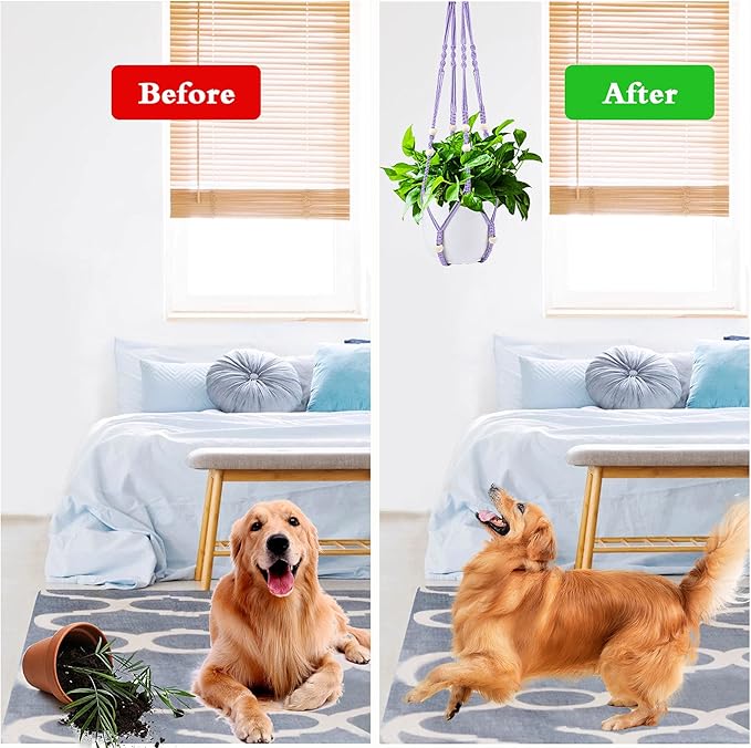 Augshy Macrame Hanging Planter, Hanging Planters for Indoor Outdoor Home Decor, Hanging Plant Holder No Tassels Set of 2 with 4 Hooks