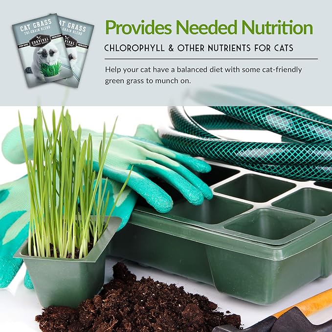 Cat Grass Seed for Planting - 3 Packets with Instructions to Plant & Grow Greens for Your Pet Indoors or Outdoors in a Container or Garden - Non-GMO Heirloom Variety - Survival Garden Seeds