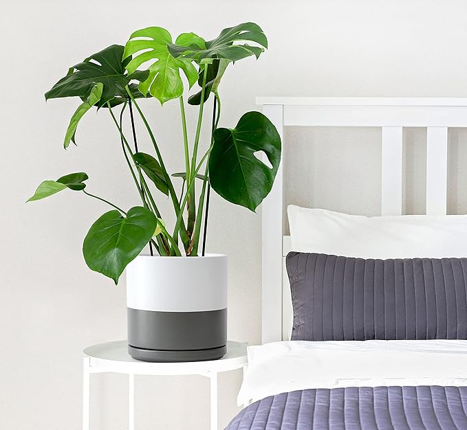 D'vine Dev 8 Inch Ceramic Planter Pot with Drainage Hole and Saucer, Indoor Cylinder Round Planter Pot, White/Speckled Grey, 94-O-D-6