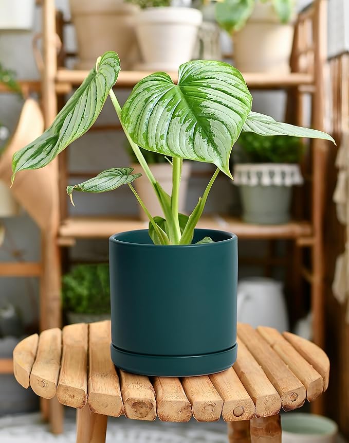 D'vine Dev Set of 2 Plants Pots, 6 Inch Ceramic Planter Pot for Plants with Drainage Hole and Saucer, Teal, 94-V-C-9