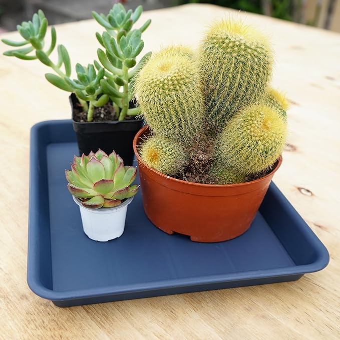 4 Pack Plant Saucer Tray Rectangular, Plant Saucers for Indoors, Heavy Sturdy Plastic Plant Drainage Trays, Plant Drip Trays for Pots, Seed Starter Growing Tray (11 x 9 inch, Blue)