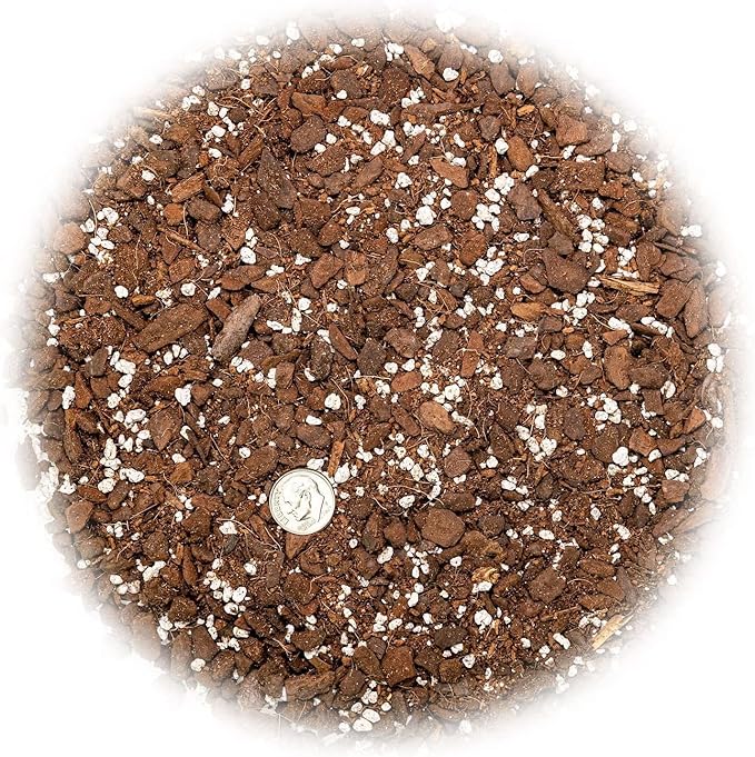 Split Leaf Philodendron Potting Mix - Retains Moisture and Prevents Root Rot - 5 Quart