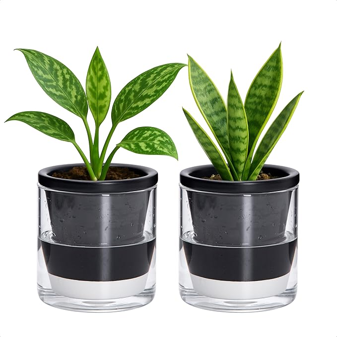 D'vine Dev 4 Inch Design Self Watering Planter for Indoor Plants, Black Terracotta Pot with Cylinder Glass Cup, Set of 2, 37-Y-A-3