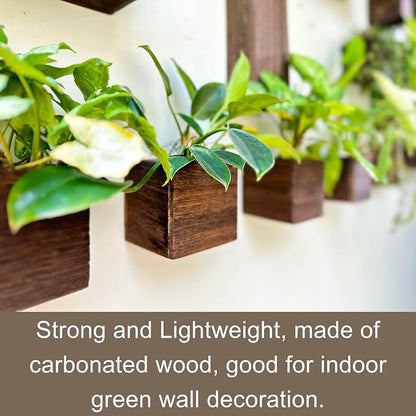 LaLaGreen Wood Planter Boxes Small Square Wooden Wall Mounted Flower Pot - Image 7