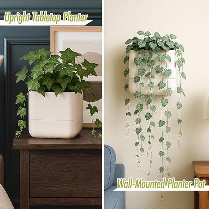 Phoenix Vine 6.5 Inch Wall Mounted Self-Watering Planter Pot - Image 2