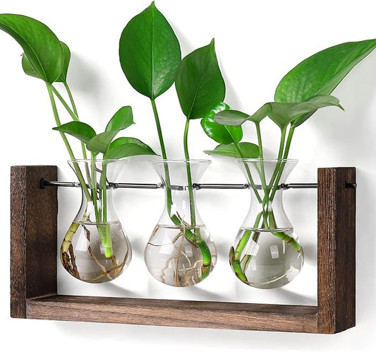 YIBOT Wall Hanging Planter Propagation Station, Plant Terrarium with Wooden Stand, Hydroponics Plants Home Office Living Room Decor Gift-3 Bulb Glass Vases