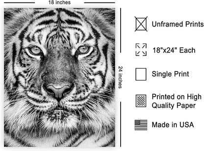 Poster Master Vintage Tiger Face Print - Image 2