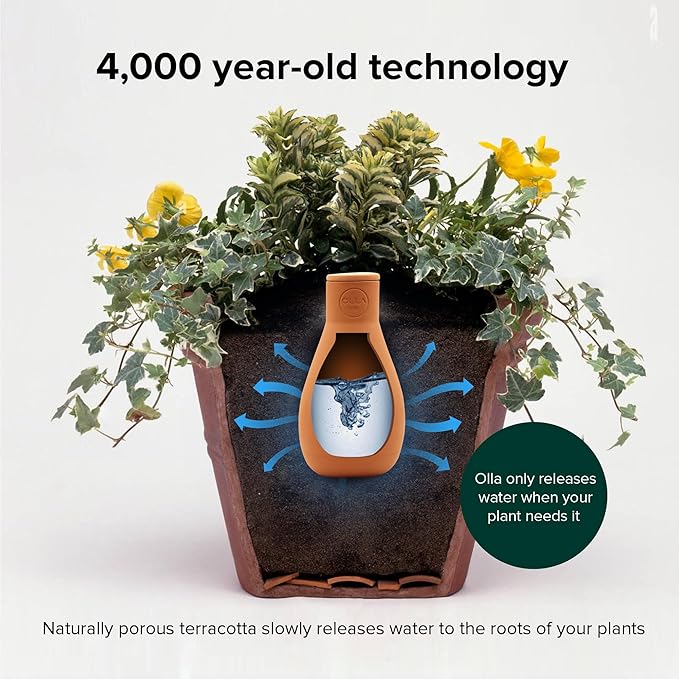 Classic Olla Watering Pot Mini – Set of 2 | Holds 12 Ounces | Plant Watering Bulb Olla Watering System with Terra Cotta Irrigation Pots | Self Watering While on Vacation | The Olla Company